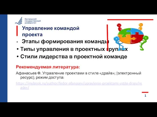 Управление командой проекта Этапы формирования команды Типы управления в проектных группах Стили