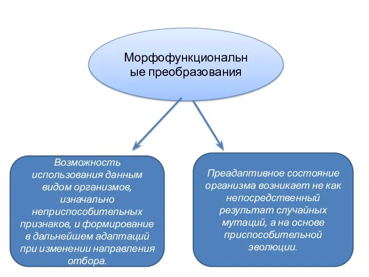 Морфофункциональные преобразования Возможность использования данным видом организмов, изначально неприспособительных признаков, и формирование