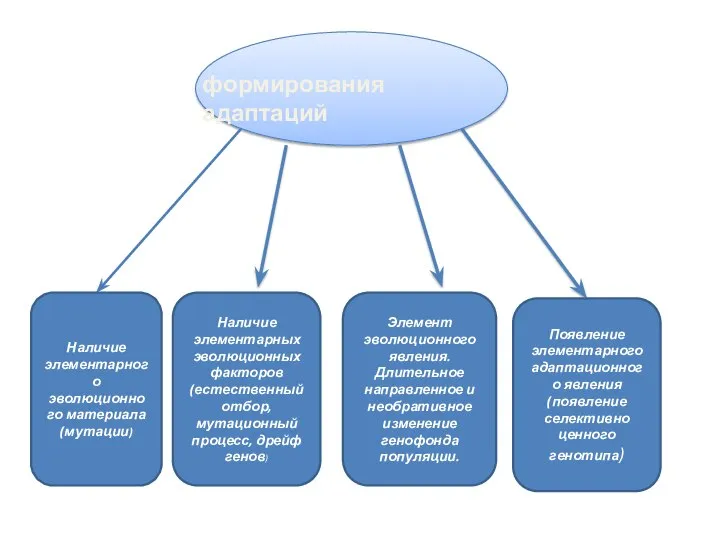 формирования адаптаций Наличие элементарного эволюционного материала (мутации) Наличие элементарных эволюционных факторов (естественный