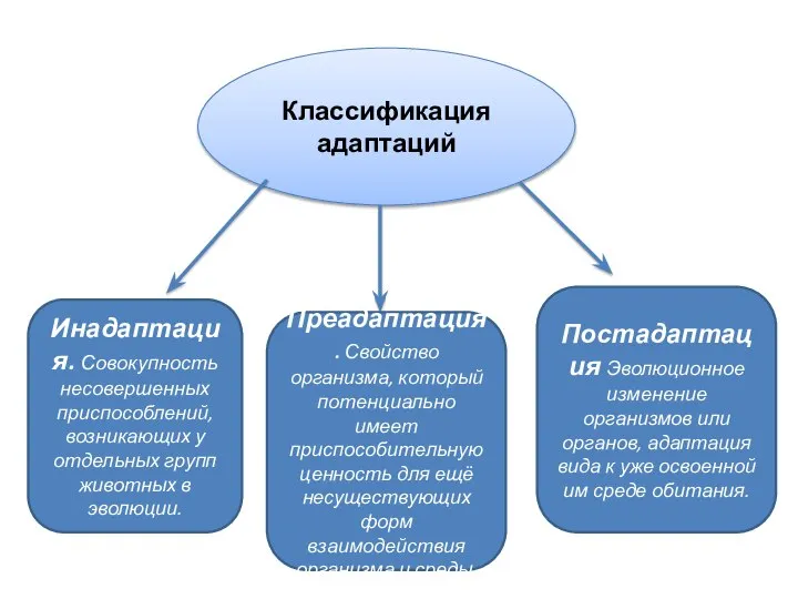 Классификация адаптаций Классификация адаптаций Инадаптация. Совокупность несовершенных приспособлений, возникающих у отдельных групп