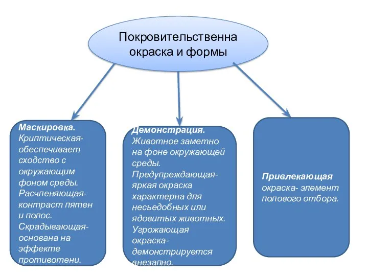 Покровительственна окраска и формы Маскировка. Криптическая- обеспечивает сходство с окружающим фоном среды.