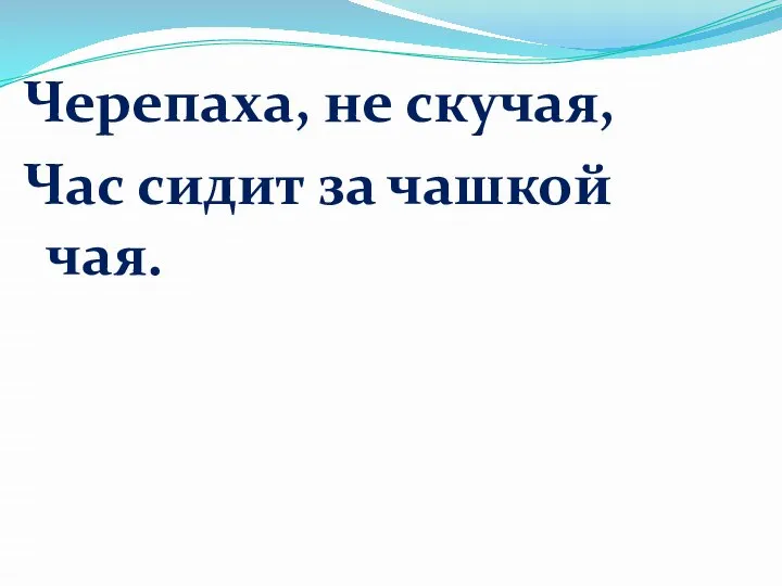 Черепаха, не скучая, Час сидит за чашкой чая.