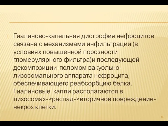 Гиалиново-капельная дистрофия нефроцитов связана с механизмами инфильтрации (в условиях повышенной порозности гломерулярного