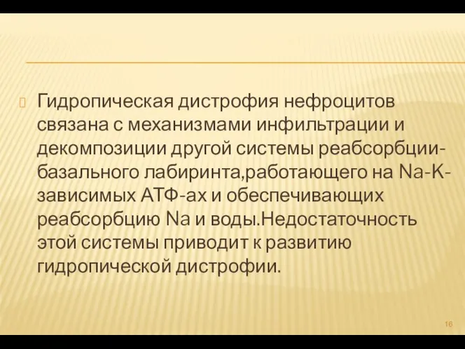 Гидропическая дистрофия нефроцитов связана с механизмами инфильтрации и декомпозиции другой системы реабсорбции-базального