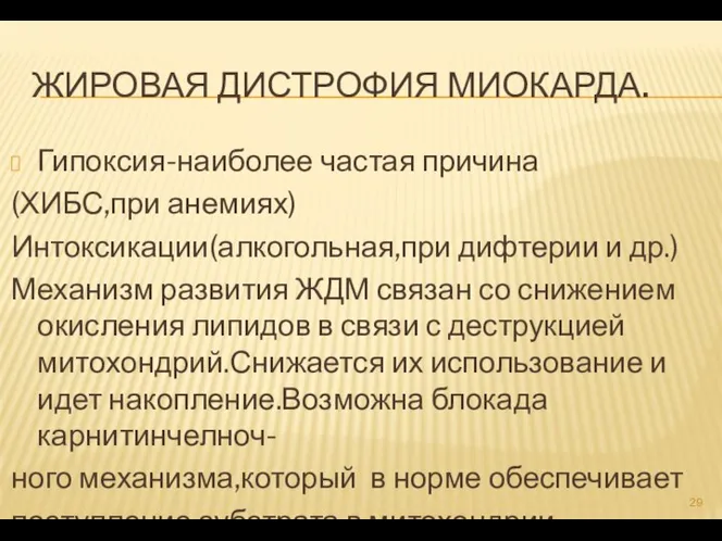 ЖИРОВАЯ ДИСТРОФИЯ МИОКАРДА. Гипоксия-наиболее частая причина (ХИБС,при анемиях) Интоксикации(алкогольная,при дифтерии и др.)