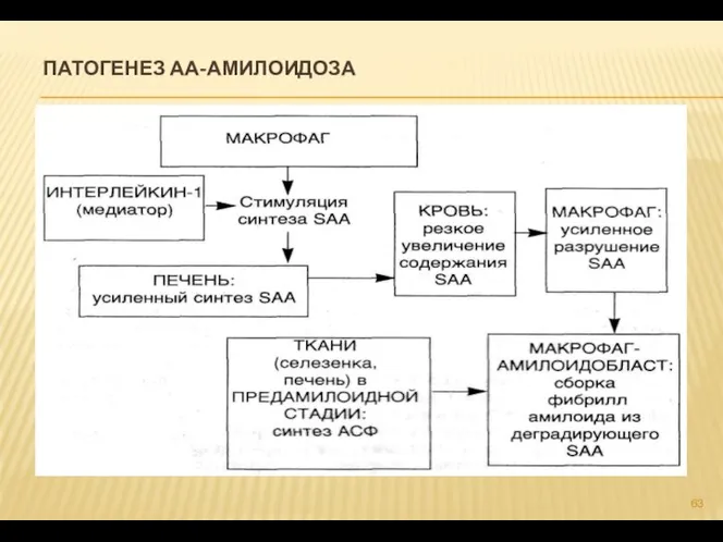 ПАТОГЕНЕЗ АА-АМИЛОИДОЗА