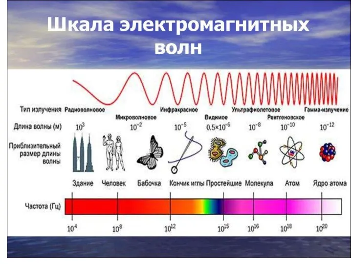 Чуев А.С.-2020 г.