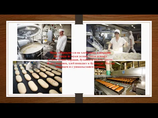 Мука отправляется на хлебозавод, в пекарню На заводе из муки делают тесто