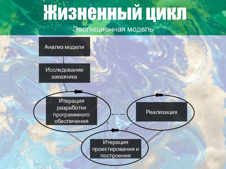 Жизненный цикл Эволюционная модель Анализ модели Исследование заказчика Итерация разработки программного обеспечения