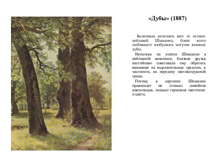 «Дубы» (1887) Былинным величием веет от лесных пейзажей Шишкина, более всего любившего