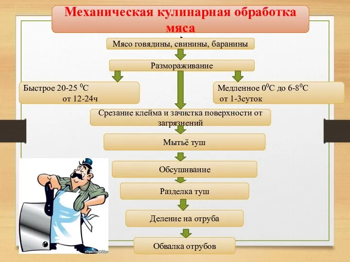 Механическая кулинарная обработка мяса Мясо говядины, свинины, баранины Размораживание Медленное 00С до