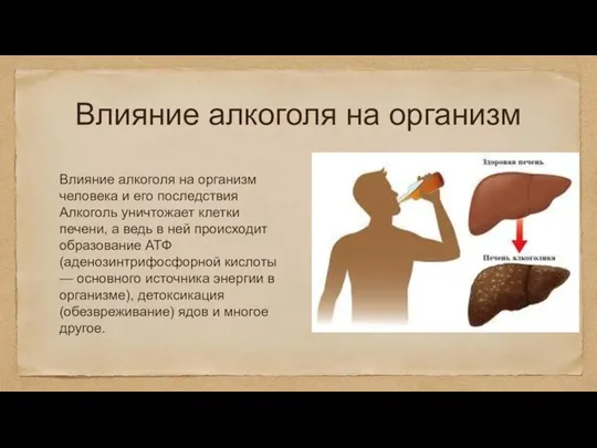 Влияние алкоголя на организм Влияние алкоголя на организм человека и его последствия
