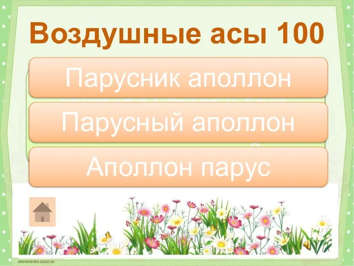 Один из лучших летунов, обитает в Европе и Азии, летает над холмами