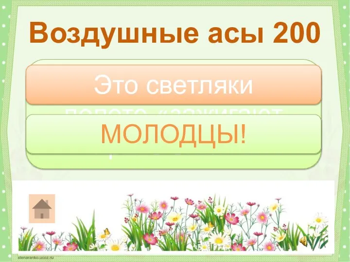 Какие насекомые в полете «зажигают яркие огни»? Воздушные асы 200 Это светляки МОЛОДЦЫ!