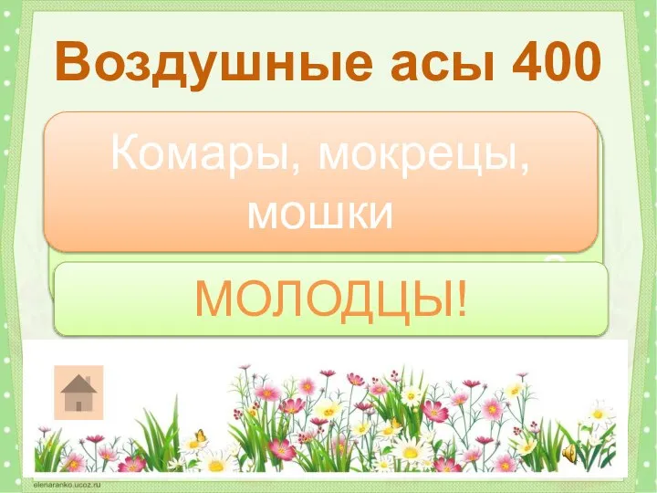 Какие насекомые относятся к самым маленьким летунам? Воздушные асы 400 Комары, мокрецы, мошки МОЛОДЦЫ!