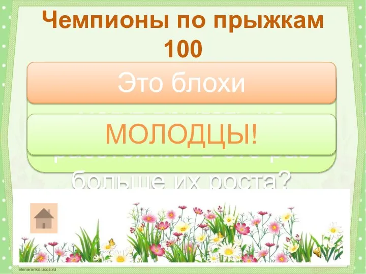 Какие насекомые могут прыгать на расстояние в сто раз больше их роста?