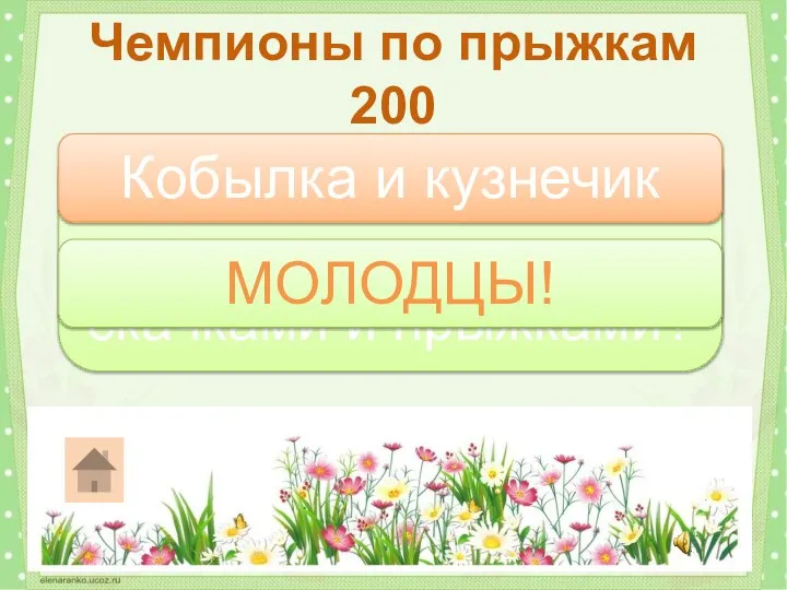 Какие насекомые чаще передвигаются скачками и прыжками? Чемпионы по прыжкам 200 Кобылка и кузнечик МОЛОДЦЫ!