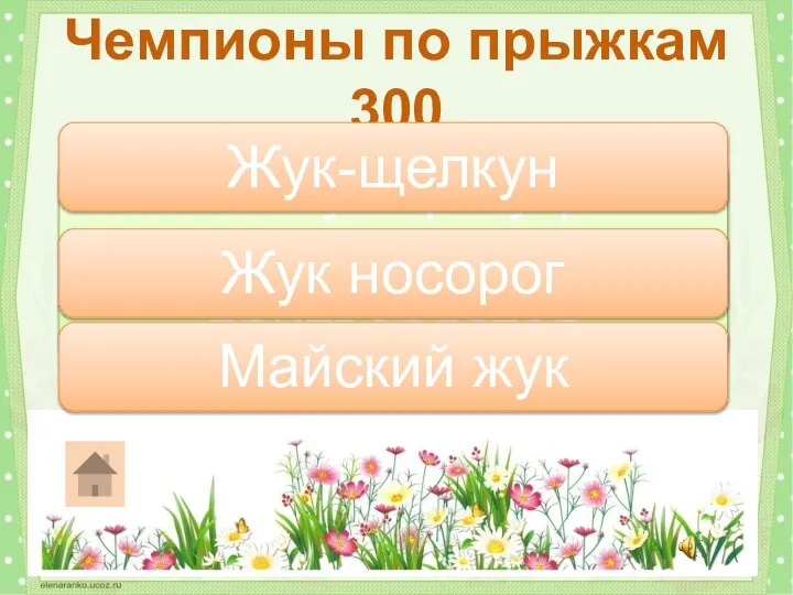 Какой жук при угрозе падает на спину и притворяется мертвым? Чемпионы по