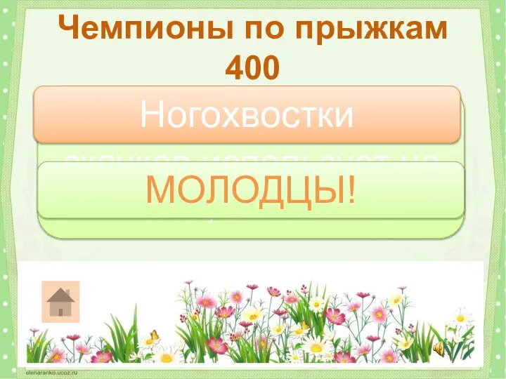 Кто из насекомых для скачков использует не ноги, а хвост? Чемпионы по прыжкам 400 Ногохвостки МОЛОДЦЫ!