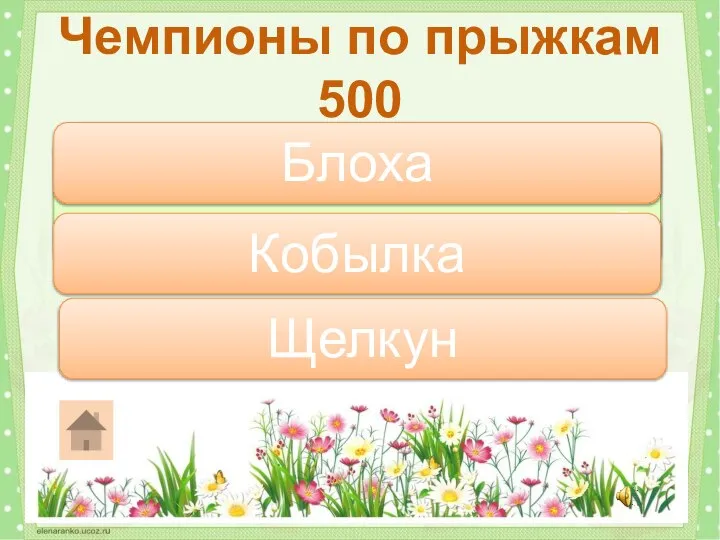 Кто из этих насекомых прыгает дальше всех? Чемпионы по прыжкам 500 Кобылка Блоха Щелкун