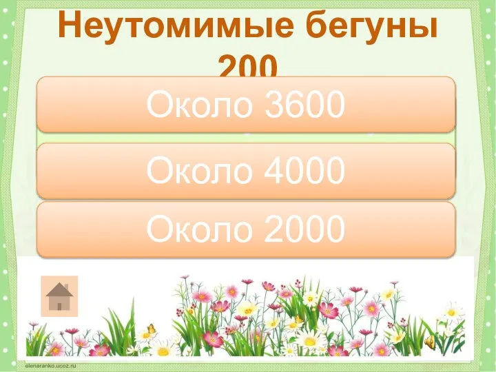 Сколько существует видов тараканов? Неутомимые бегуны 200 Около 3600 Около 4000 Около 2000