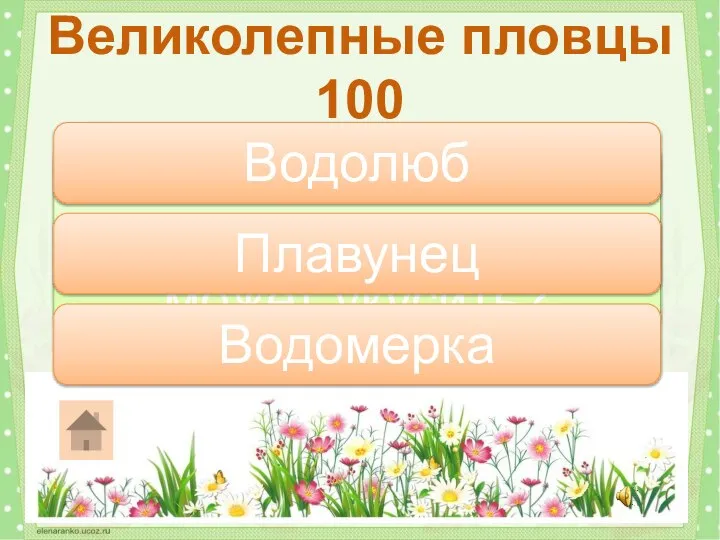 Какой жук охотится на водяных жителей и может укусить? Великолепные пловцы 100 Плавунец Водолюб Водомерка