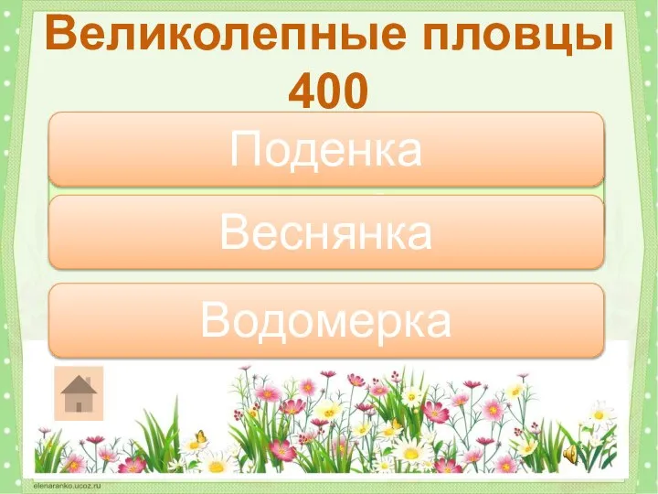 Кто может ходить по воде? Великолепные пловцы 400 Водомерка Поденка Веснянка