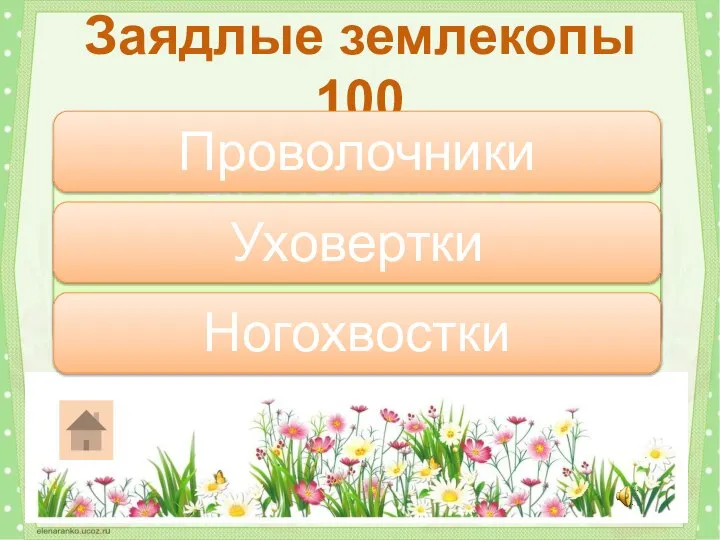 Как называют личинок жуков-щелкунов? Заядлые землекопы 100 Проволочники Уховертки Ногохвостки