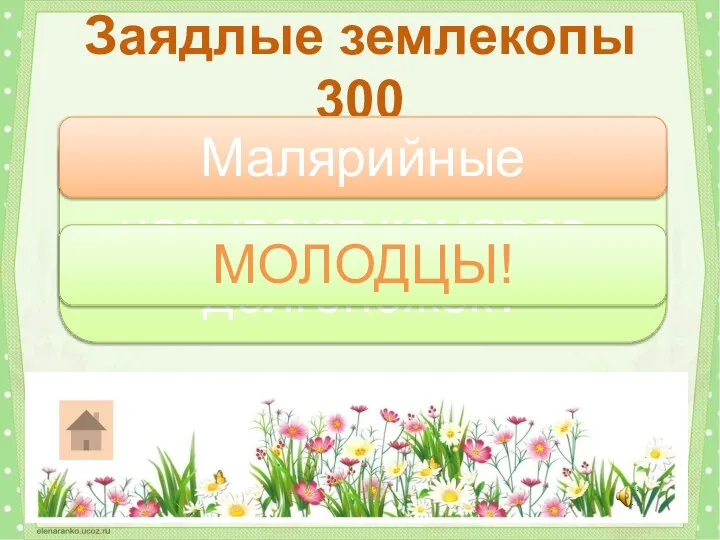 Как иногда по ошибке называют комаров-долгоножек? Заядлые землекопы 300 Малярийные МОЛОДЦЫ!