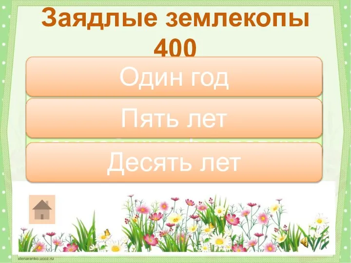 Сколько времени могут проводить под землей нимфы певчих цикад? Заядлые землекопы 400