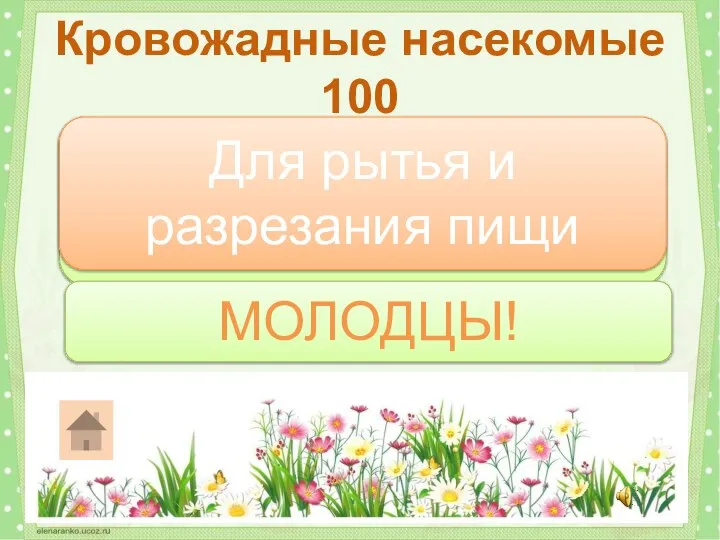 Для чего осе нужны жвалы? Кровожадные насекомые 100 Для рытья и разрезания пищи МОЛОДЦЫ!