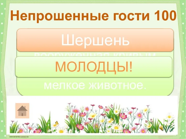 Самая крупная оса, вооруженная кривым жалом, может убить мелкое животное. Непрошенные гости 100 Шершень МОЛОДЦЫ!