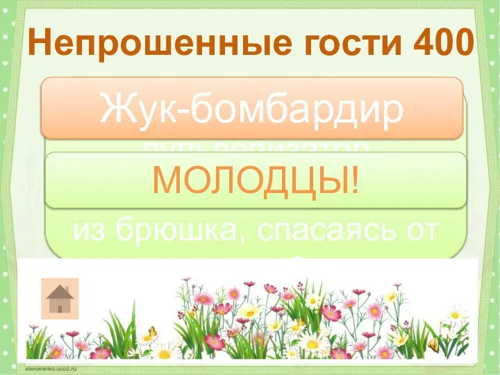 Кто может как пульверизатор распылить жгучую смесь из брюшка, спасаясь от врага?