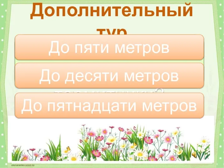 Какой высоты бывают термитники? Дополнительный тур До десяти метров До пяти метров До пятнадцати метров