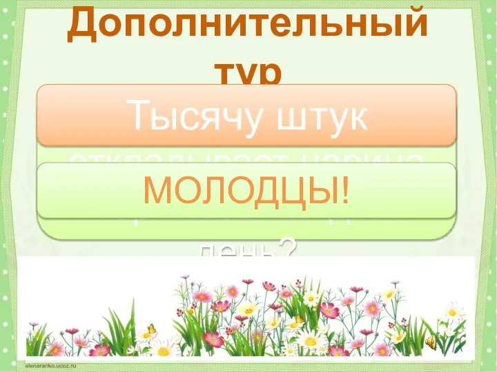 Сколько яиц откладывает царица термитов каждый день? Дополнительный тур Тысячу штук МОЛОДЦЫ!