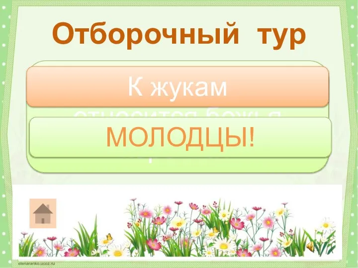 К какой группе относится божья коровка? Отборочный тур К жукам МОЛОДЦЫ!