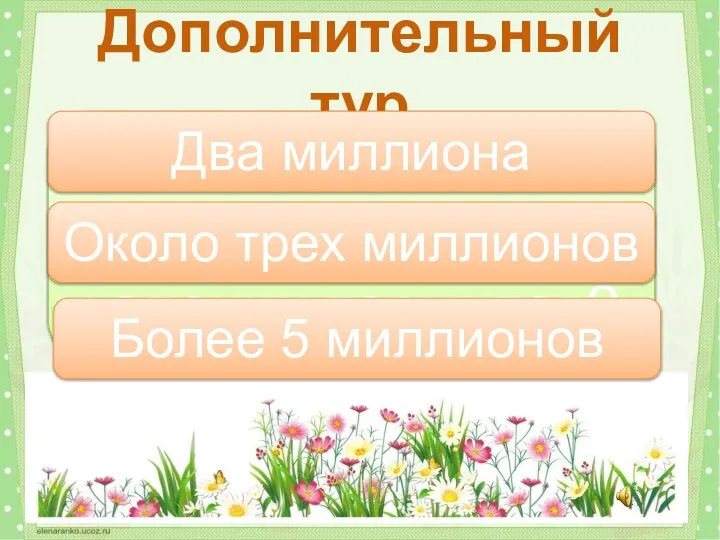 Сколько жителей может быть в колонии термитов? Дополнительный тур Более 5 миллионов