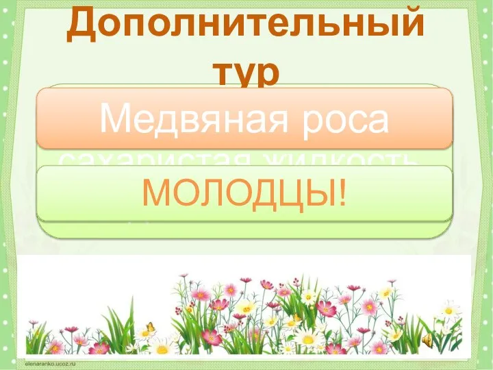 Как называется сахаристая жидкость, выделяемая тлей? Дополнительный тур Медвяная роса МОЛОДЦЫ!