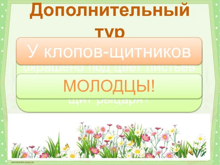 У каких насекомых тело окрашено под цвет листьев и по форме напоминает