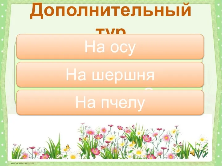 На кого похожа безобидная муха-журчалка? Дополнительный тур На осу На шершня На пчелу