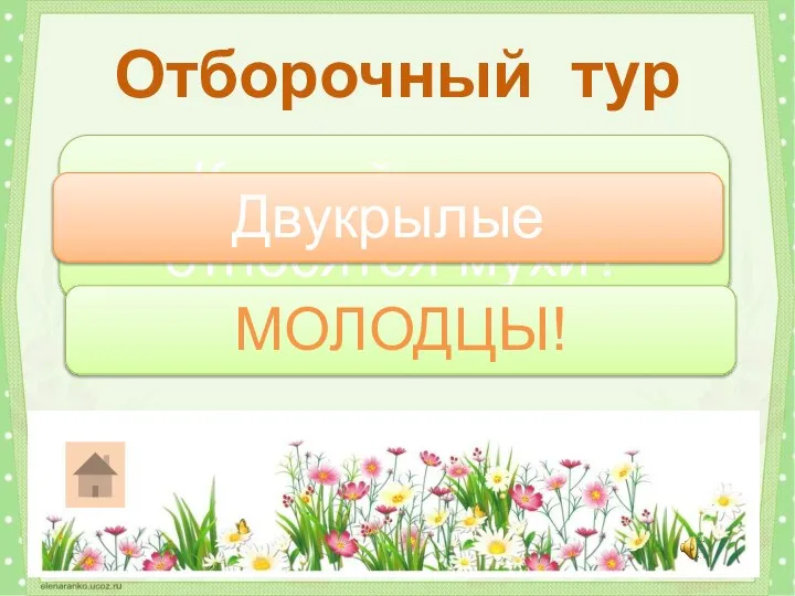 К какой группе относятся мухи? Отборочный тур Двукрылые МОЛОДЦЫ!