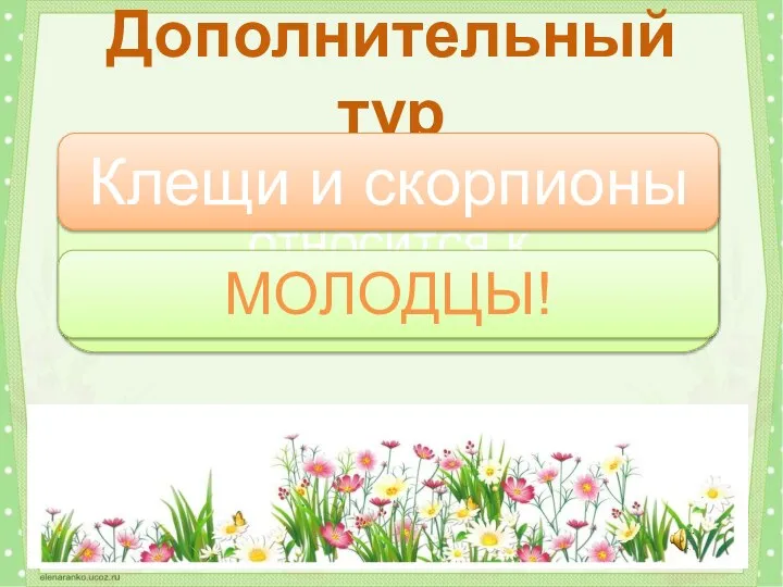 Кто еще кроме пауков относится к паукообразным? Дополнительный тур Клещи и скорпионы МОЛОДЦЫ!