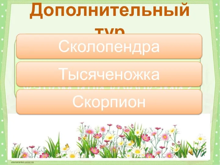 Кто из этих созданий вооружен ядовитым жалом или крючками? Дополнительный тур Сколопендра Тысяченожка Скорпион