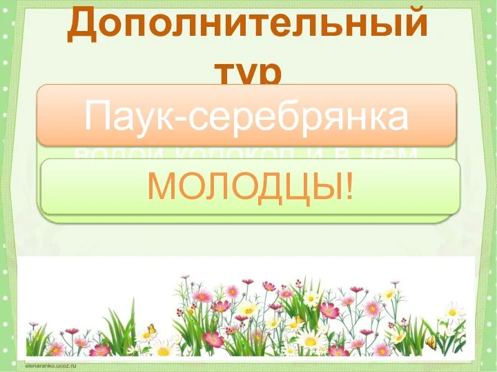 Какой паук сплетает под водой колокол и в нем караулит добычу? Дополнительный тур Паук-серебрянка МОЛОДЦЫ!