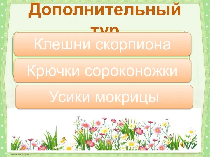 Что такое педипальпы? Дополнительный тур Клешни скорпиона Крючки сороконожки Усики мокрицы