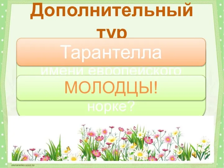 Танец, названный по имени европейского паука-волка, живущего в норке? Дополнительный тур Тарантелла МОЛОДЦЫ!