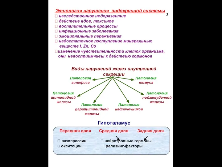 Этиология нарушения эндокринной системы ⯍ наследственное недоразвитие ⯍ действие ядов, токсинов ⯍