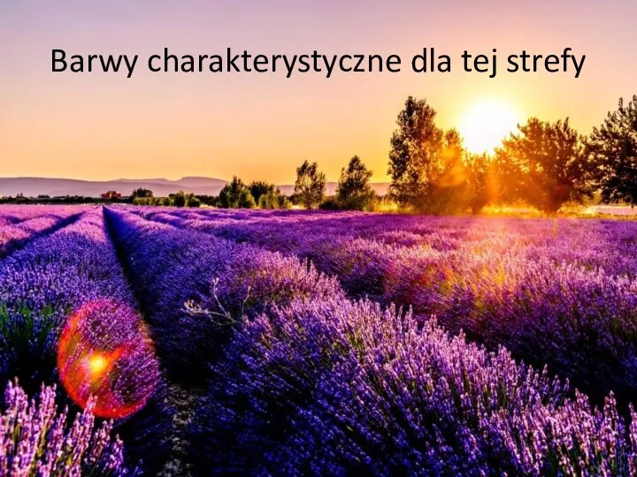 Barwy charakterystyczne dla tej strefy