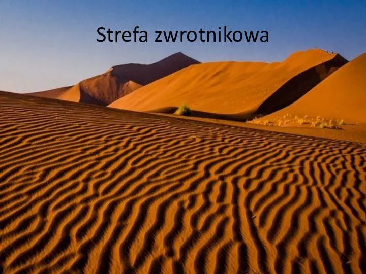 Strefa zwrotnikowa