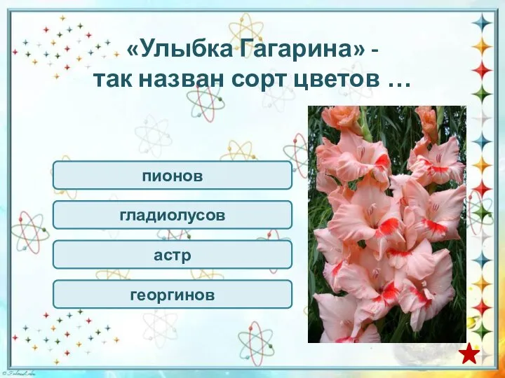 «Улыбка Гагарина» - так назван сорт цветов … пионов гладиолусов астр георгинов